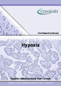 hypoxia