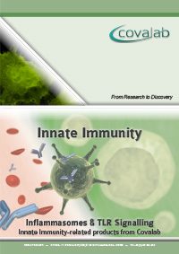 innate_immunity