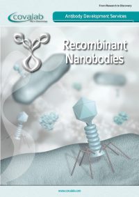nanobodies_development