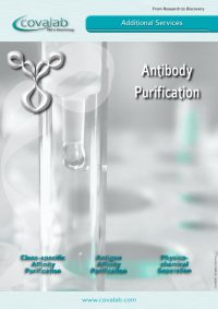 antibody_purification